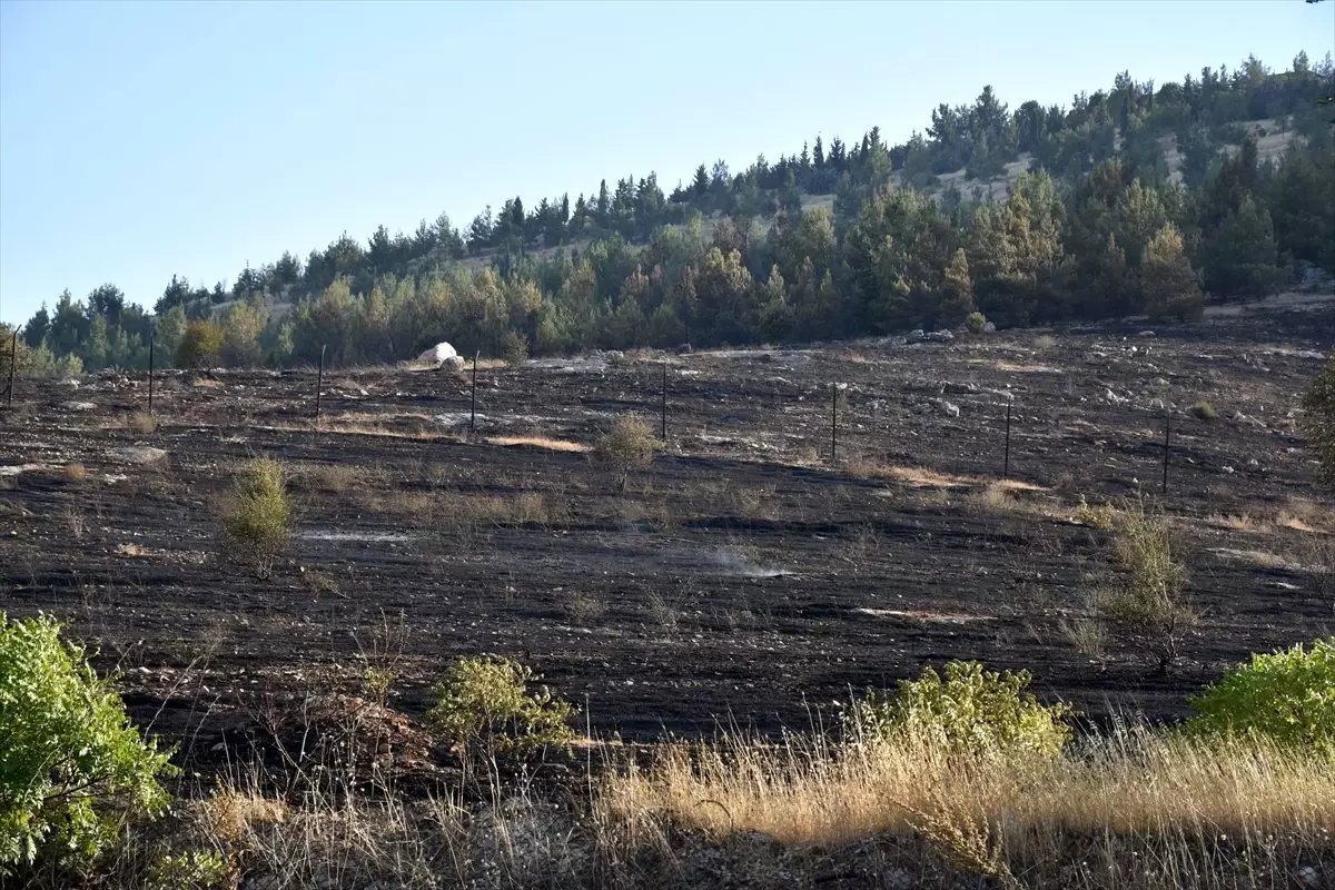 Gaziantep'te anız yangını