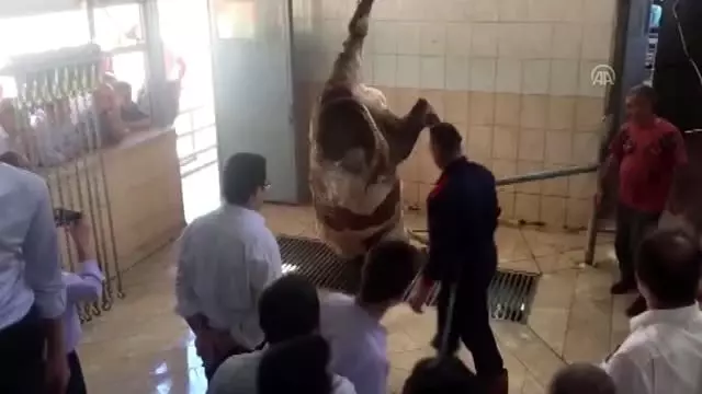 MEB'den 31 bin vatandaşa 'kurban kesim' eğitimi MEB'den 31 bin vatandaşa 'kurban kesim' eğitimi