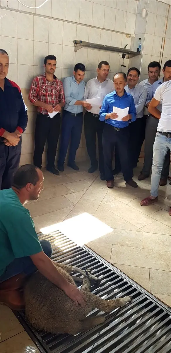 MEB'den 31 bin vatandaşa 'kurban kesim' eğitimi MEB'den 31 bin vatandaşa 'kurban kesim' eğitimi