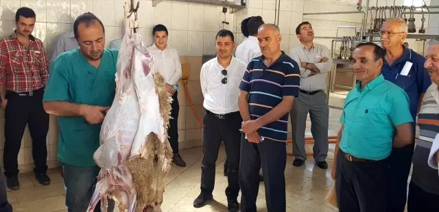 MEB'den 31 bin vatandaşa 'kurban kesim' eğitimi MEB'den 31 bin vatandaşa 'kurban kesim' eğitimi