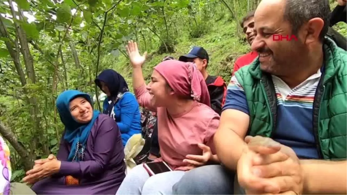 ORDU KARADENİZ'DE FINDIK BEREKETİ