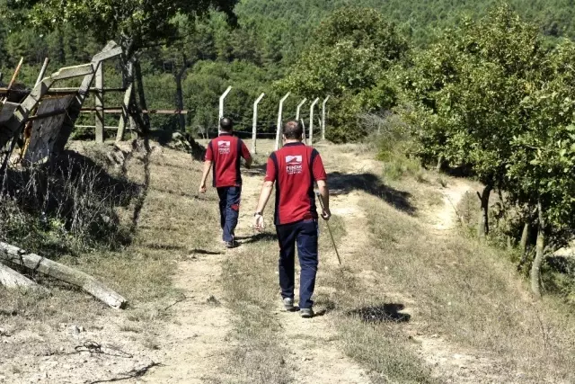 Pendik'te kaçan kurbanlıklara üfleme çubuklu ekip