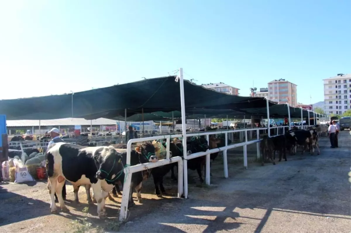 Seydişehir Belediyesi Kurban Bayramına hazır