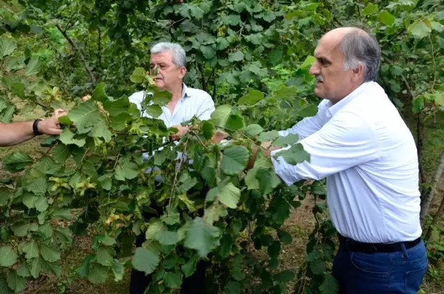 AK Parti Giresun Milletvekili Cemal Öztürk Açıklaması