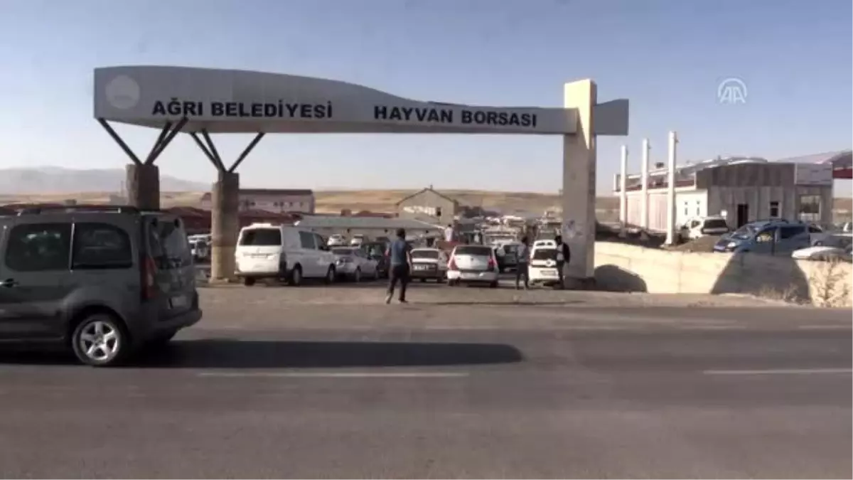 Doğu'da hayvan pazarlarında arife yoğunluğu