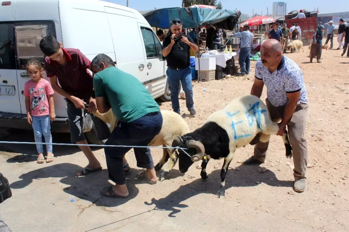 Gaziantep'te kurban pazarlarında yoğunluk yaşanıyor