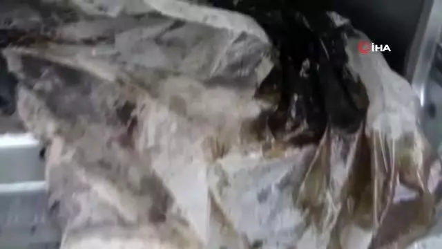 Ham petrol hırsızı suçüstü yakalandı