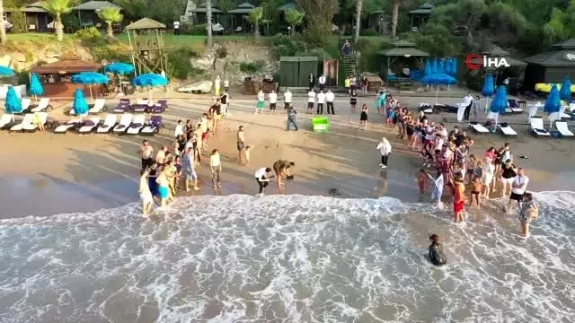 - Kurtarılan Caretta Caretta Denize Bırakıldı- Kaplumbağalara Kasten Zarar Veriliyor