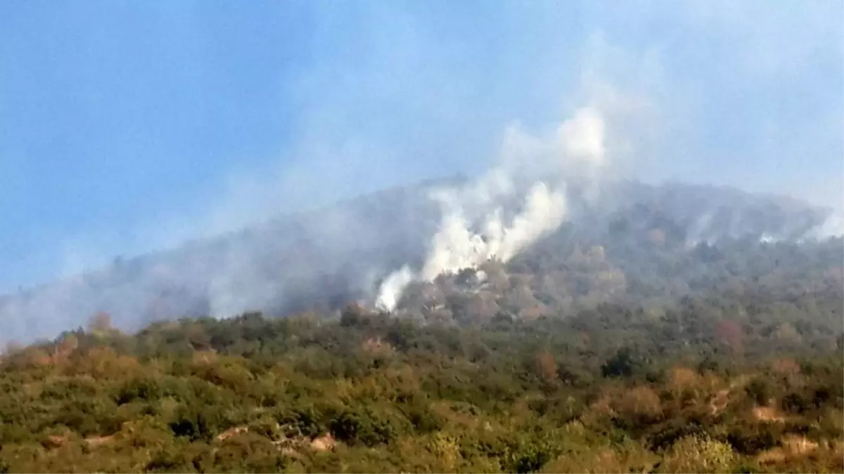 Ödemiş'te orman yangını