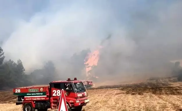 Balıkesir'de çıkan orman yangını söndürüldü