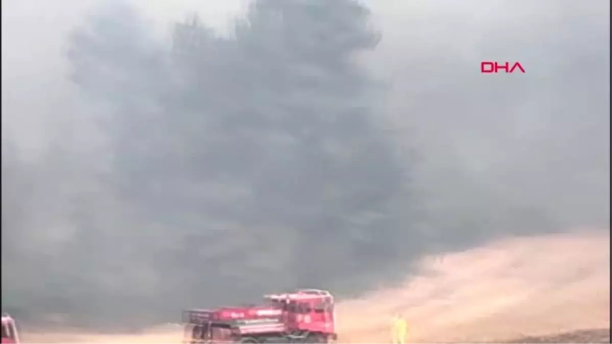 BALIKESİR Savaştepe'de orman yangını