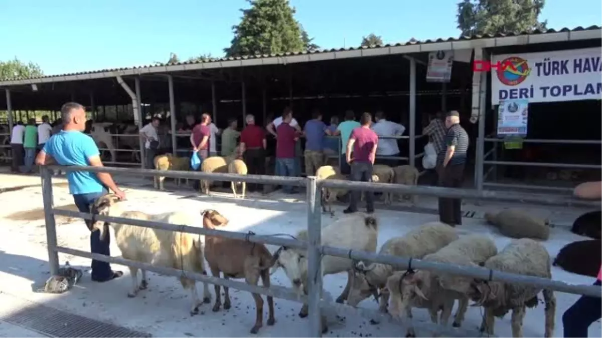 EDİRNE KEŞAN'DA VATANDAŞLAR MEZBAHALARDA KURBANLARINI KESTİ