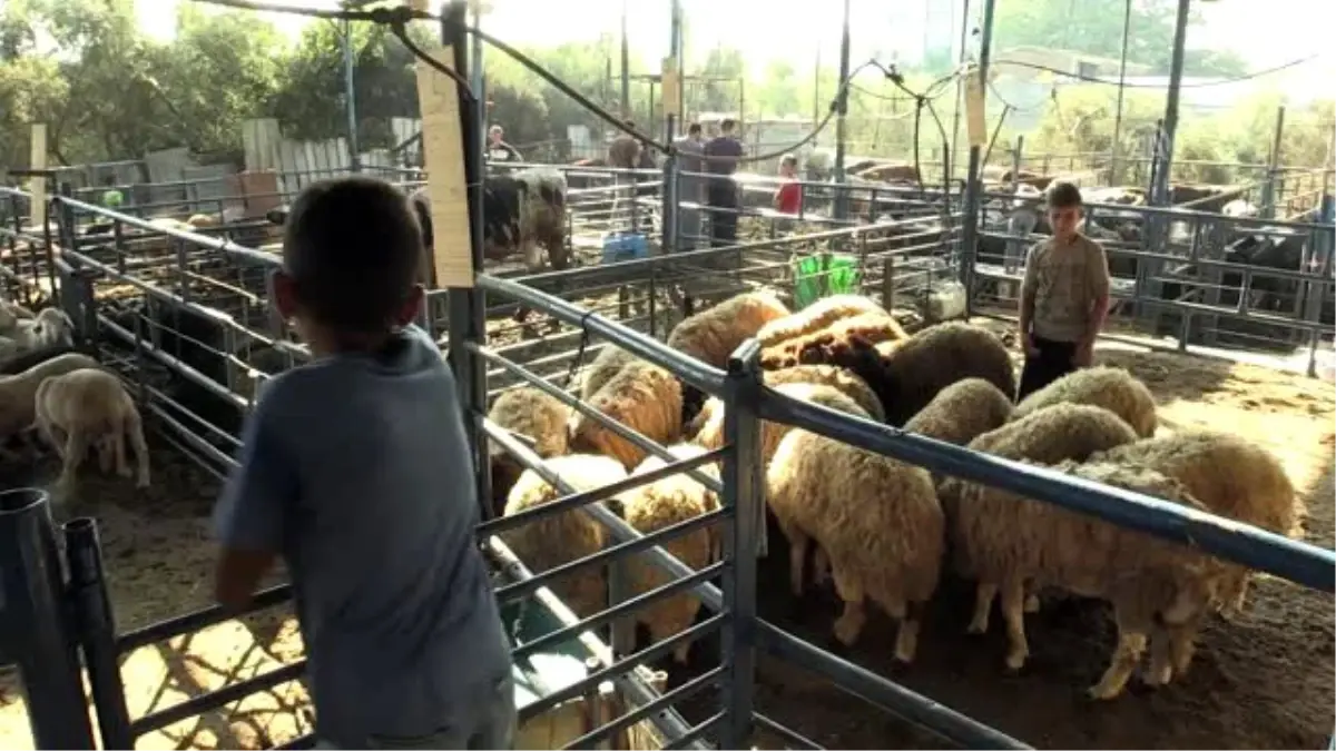 Gazze'de Kurban Bayramı