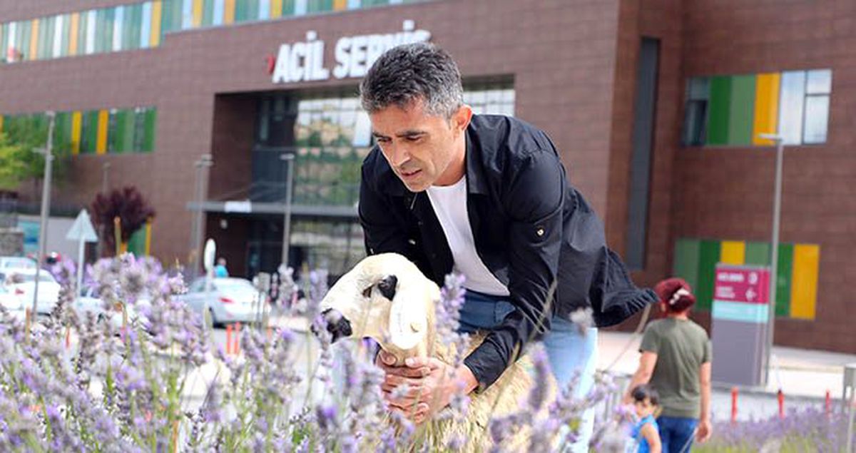 Sahibinin elinden kaçan koyun soluğu acil serviste aldı