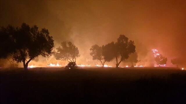 Tarihi Gelibolu yarımadasında orman yangını