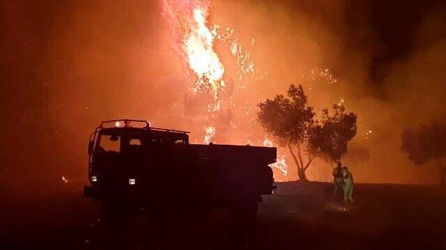 Tarihi Gelibolu yarımadasında orman yangını