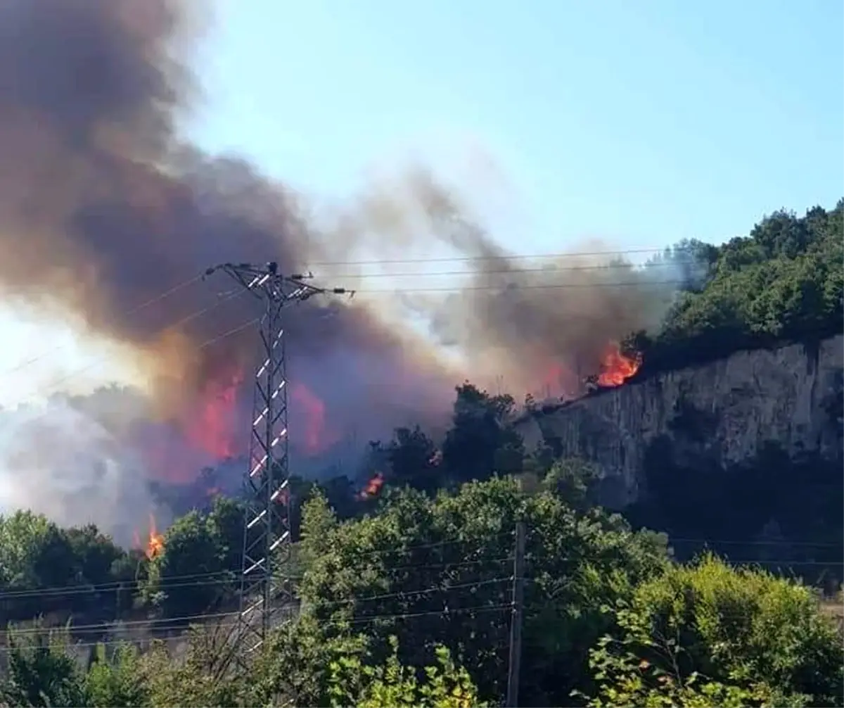 Biga'da orman yangını