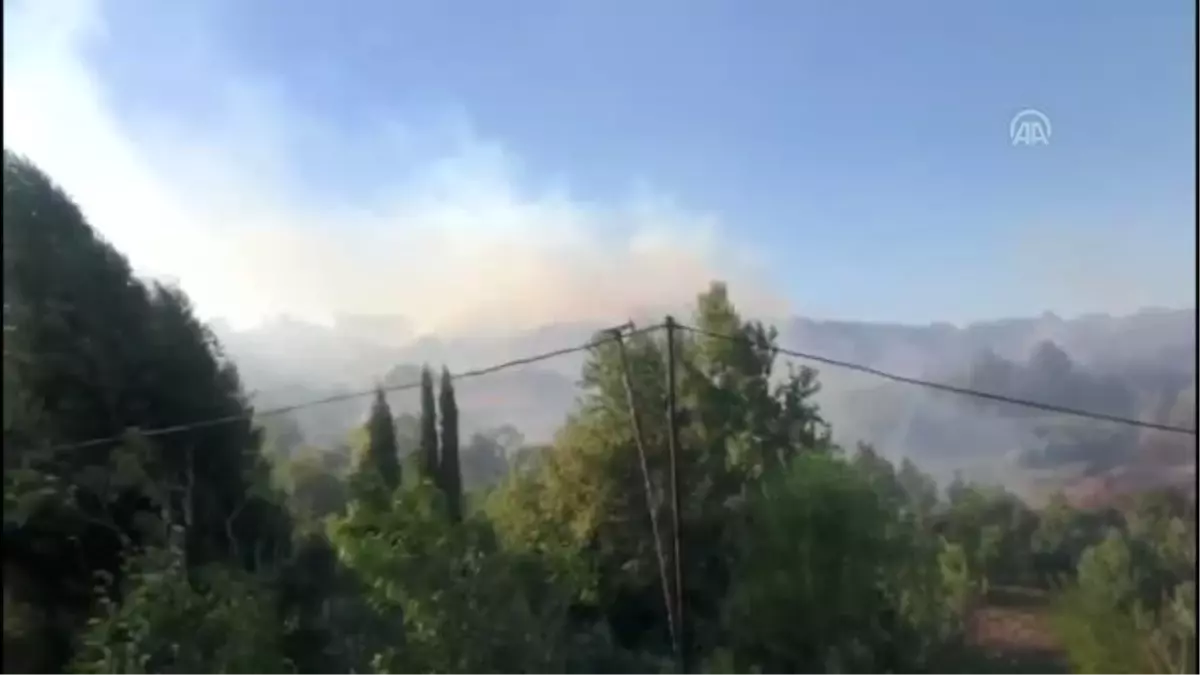 Biga'da orman yangını