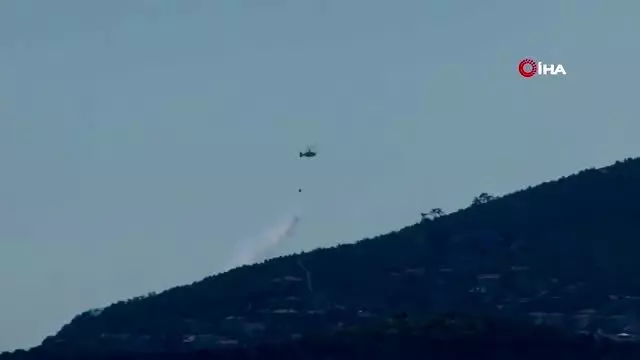Yangın, Burgazada'da 14 dönümlük alanı tahrip etti Yangın, Burgazada'da 14 dönümlük alanı tahrip etti