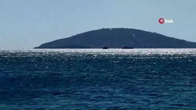 Yangın, Burgazada'da 14 dönümlük alanı tahrip etti Yangın, Burgazada'da 14 dönümlük alanı tahrip etti