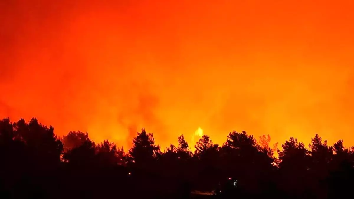 Çanakkale'de orman yangını