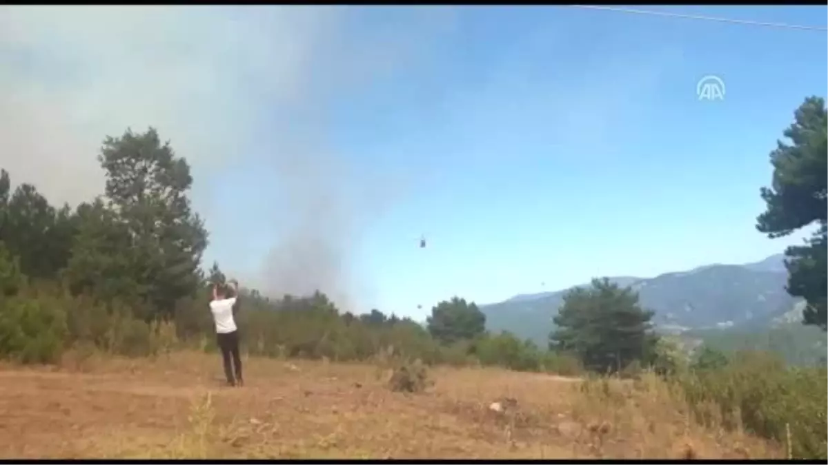 Dursunbey'de orman yangını (3) - BALIKESİR