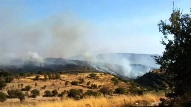 Güney Kıbrıs'ta çıkan yangın kontrol altına alınamıyor