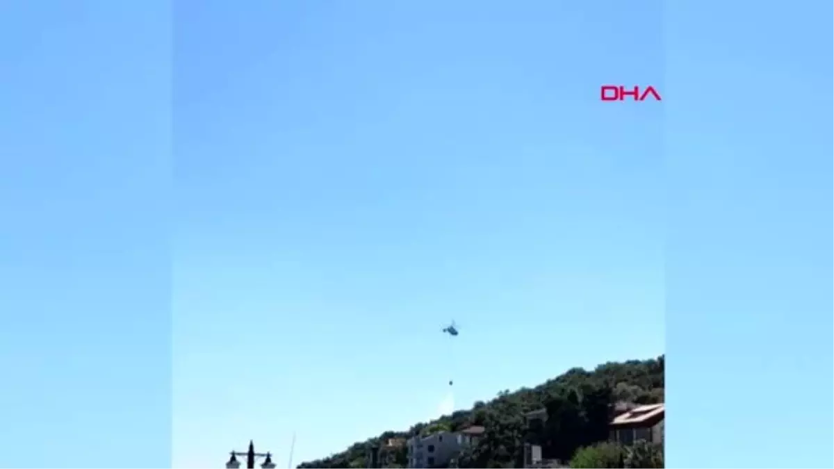 İSTANBUL- BURGAZADA'DA ORMANLI ALANDA YANGI ÇIKTI