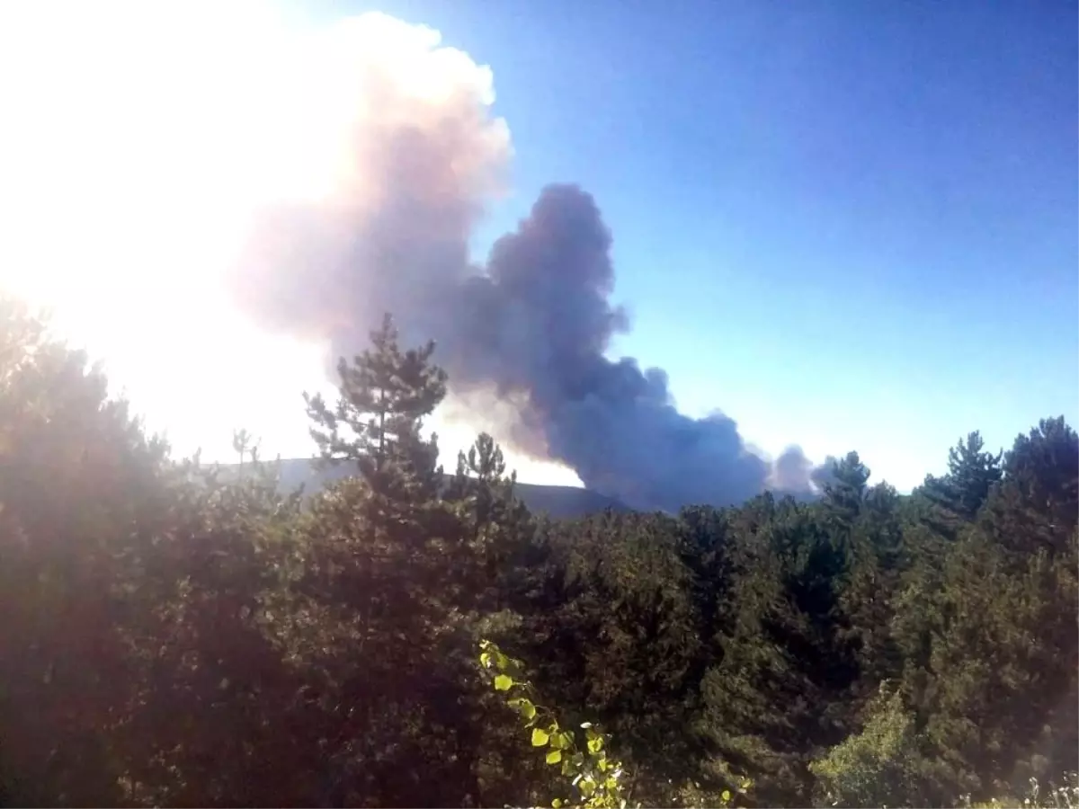 Kütahya'da orman yangını