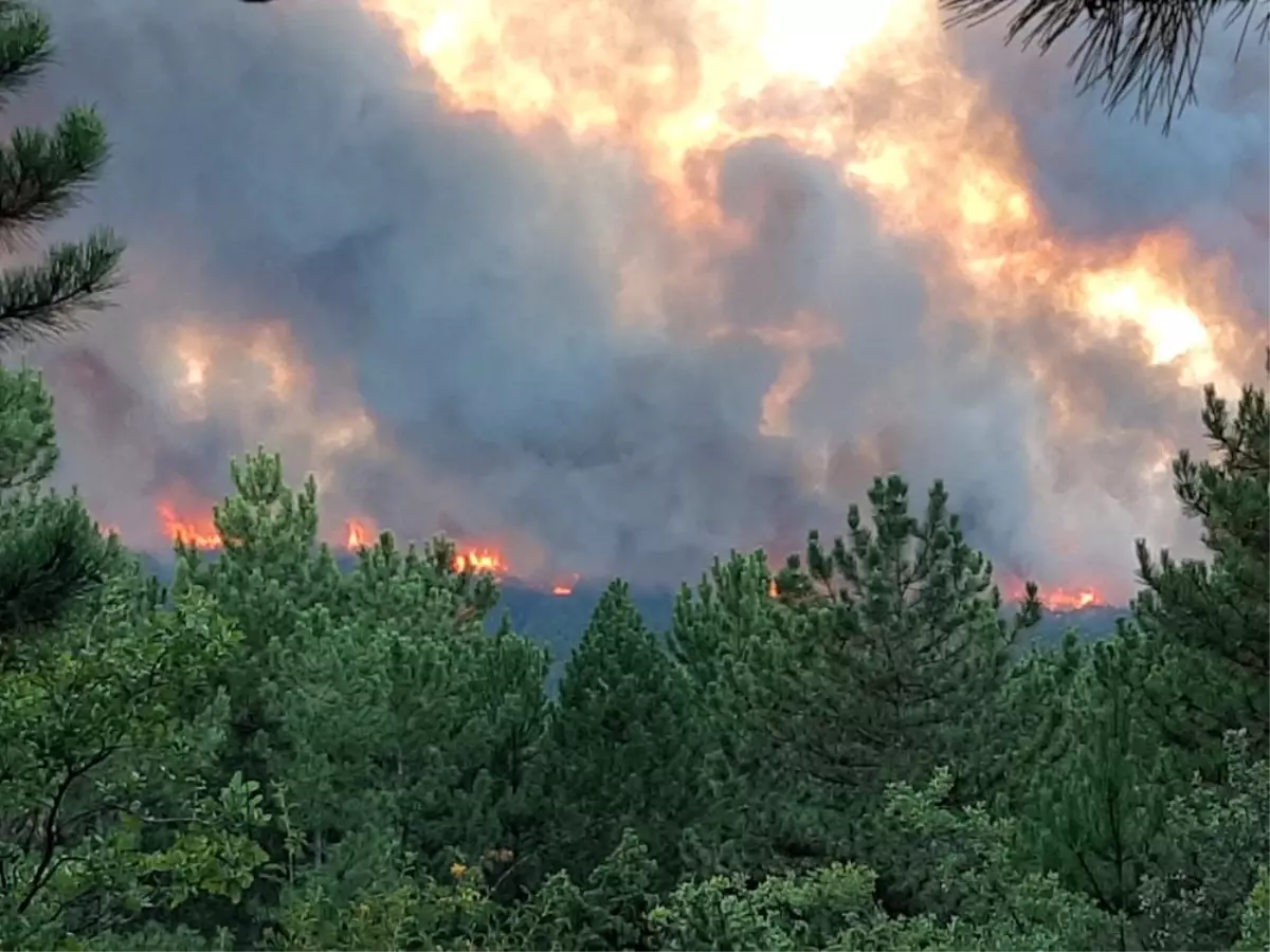 Kütahya'daki orman yangına havadan ve karadan müdahale ediliyor