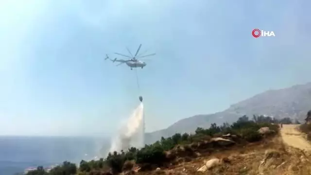 Marmara Adası’nda orman yangını