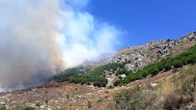 Marmara Adası'nda orman yangını! Yangın yerleşim yerine ulaştı Marmara Adası'nda orman yangını! Yangın yerleşim yerine ulaştı