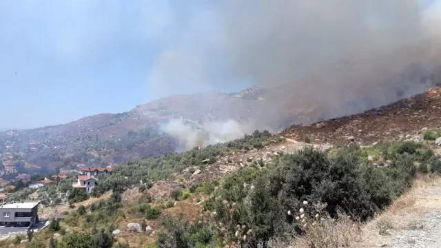 Marmara Adası'nda orman yangını! Yangın yerleşim yerine ulaştı Marmara Adası'nda orman yangını! Yangın yerleşim yerine ulaştı