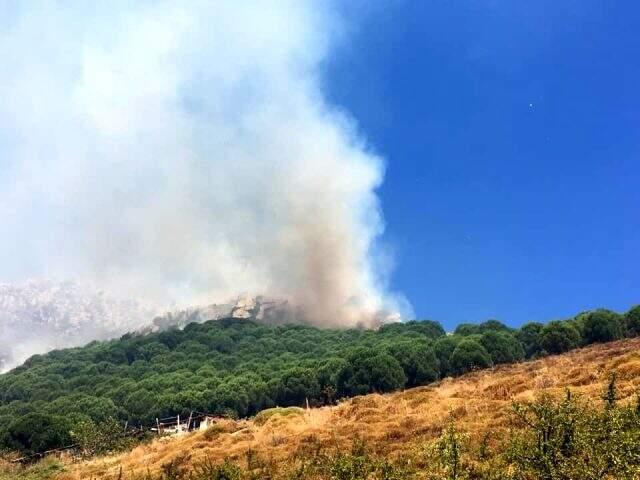 Marmara Adası'nda orman yangını! Yangın yerleşim yerine ulaştı
