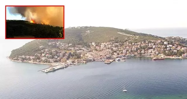 Yangın, Burgazada'da 14 dönümlük alanı tahrip etti Yangın, Burgazada'da 14 dönümlük alanı tahrip etti