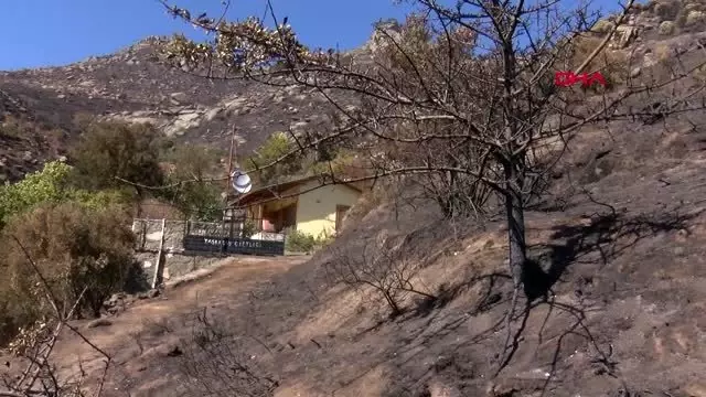 BALIKESİR Marmara Adası'ndaki orman yangınında 80 hektar kül oldu - İŞTE YANGININ BAŞLADIĞI ÖNE... BALIKESİR Marmara Adası'ndaki orman yangınında 80 hektar kül oldu - İŞTE YANGININ BAŞLADIĞI ÖNE...