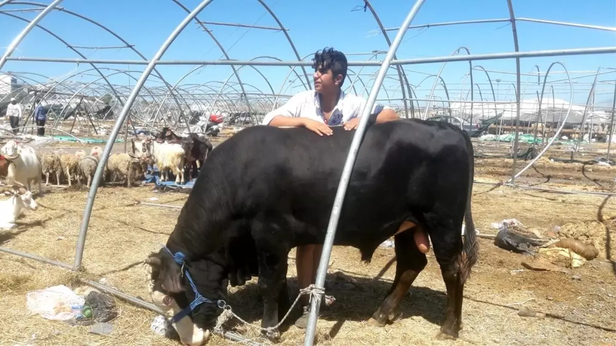 Bayramın 3'üncü gününde de pazarlıklar sıkı sıkıya sürüyor
