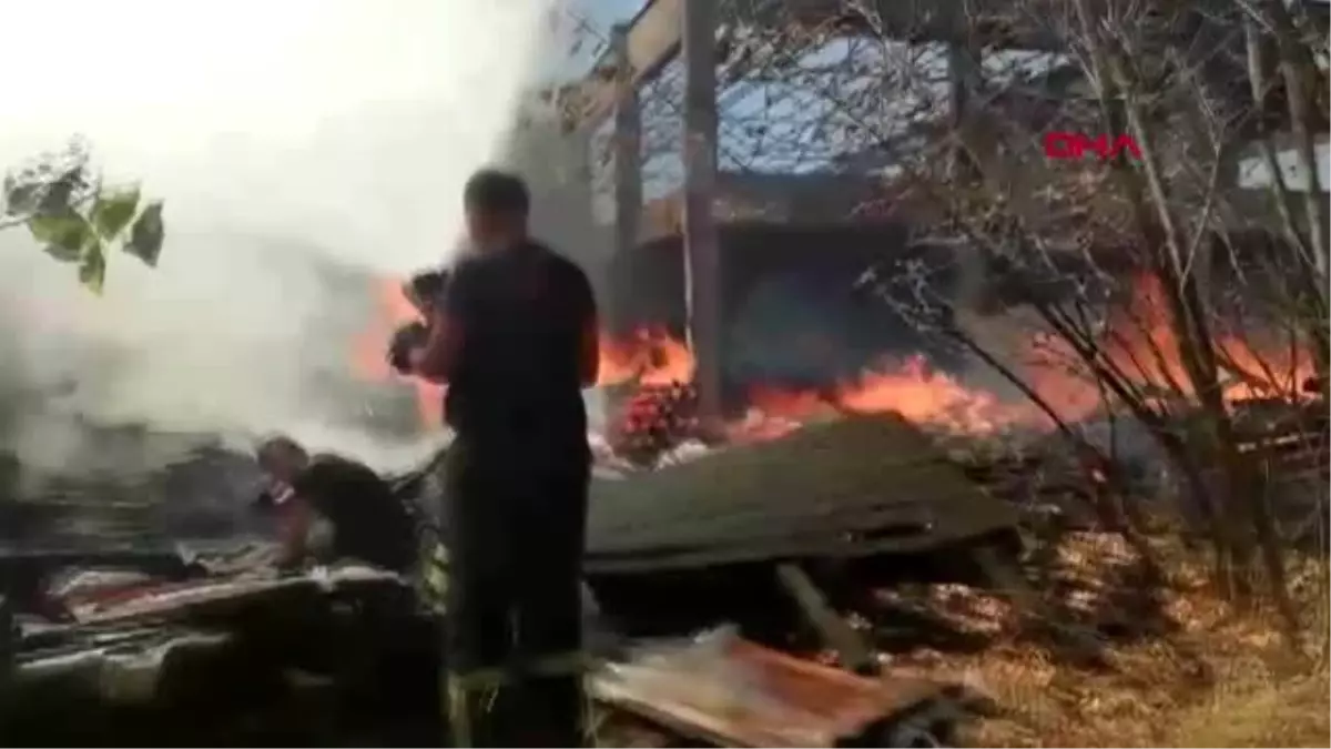 Gebze'de orman yangını