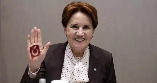 İYİ Parti lideri Akşener'den yeni parti açıklaması: Erdoğan'a nankörlük içeriden yapıldı