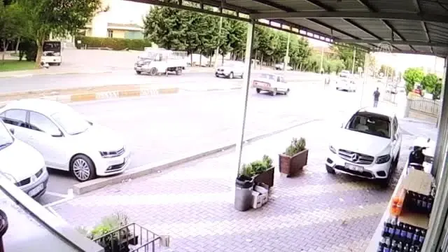 Kaçan kurbanlık dana markete girdi