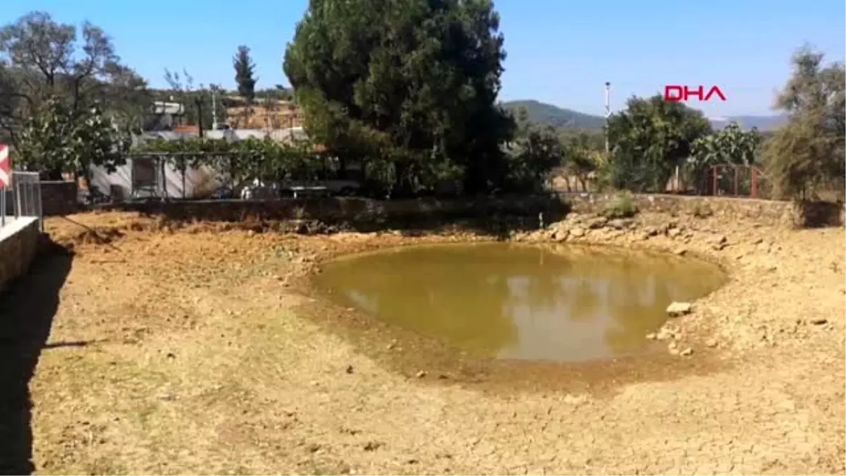MUĞLA Göletteki canlılara can suyu