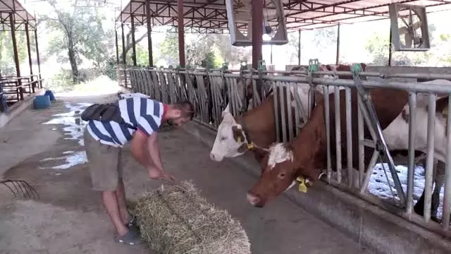 Mutluluğun