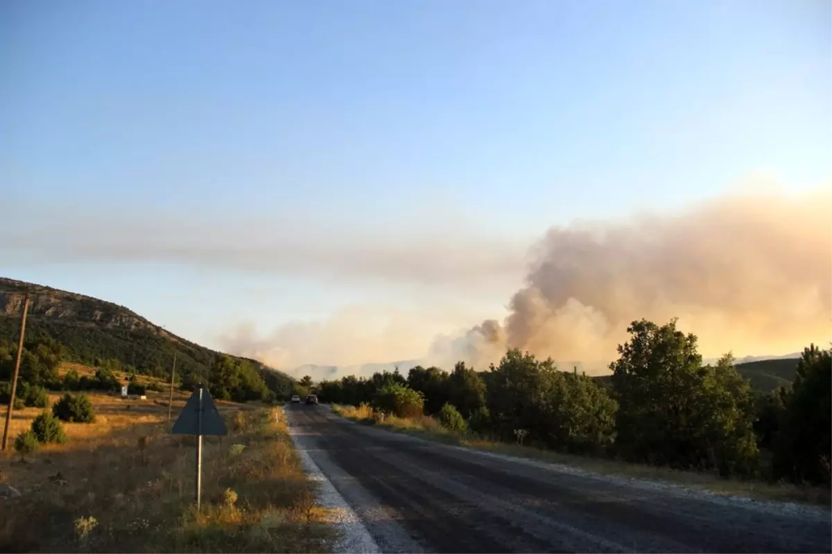 Orman yangınını söndürme çalışmaları sürüyor