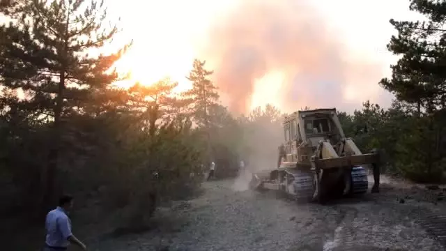 Seyitgazi'de çıkan orman yangınına müdahale ediliyor