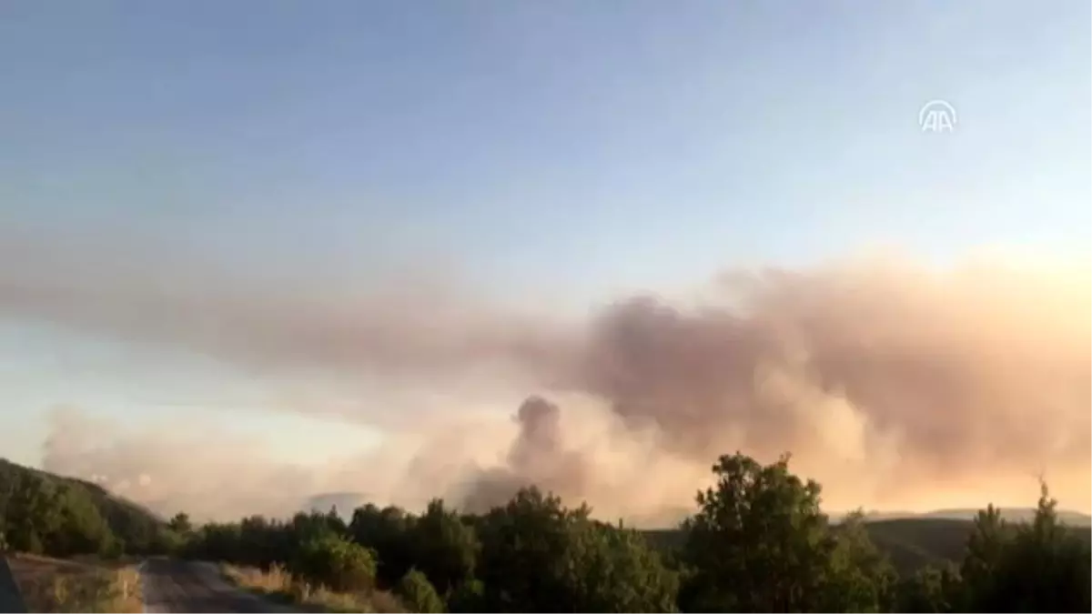 Seyitgazi'de orman yangını çıktı