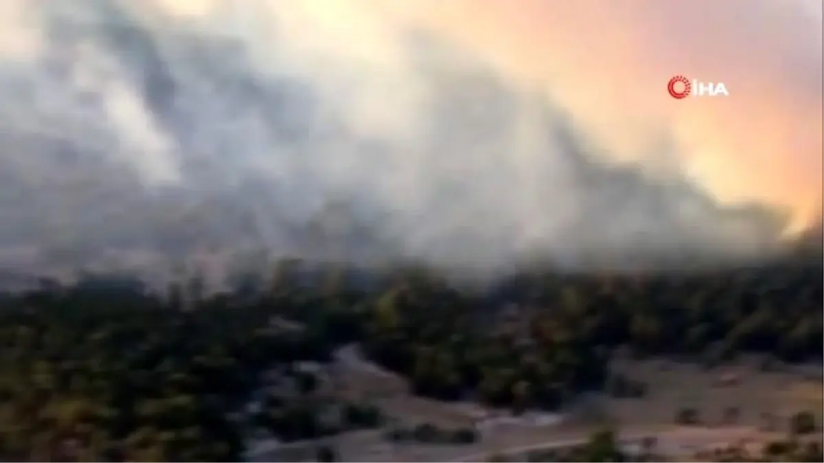 Seyitgazi'deki yangını söndürme çalışmalarına gençler kürekler ile destek oluyor