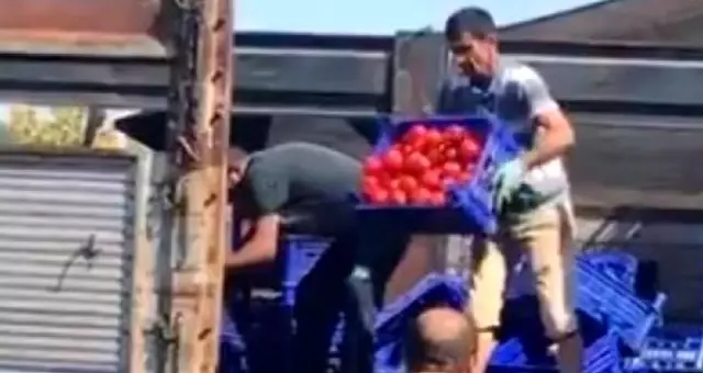 Bayrampaşa halinde tepki çeken görüntüler: Domatesleri kasa kasa çöpe attılar Bayrampaşa halinde tepki çeken görüntüler: Domatesleri kasa kasa çöpe attılar