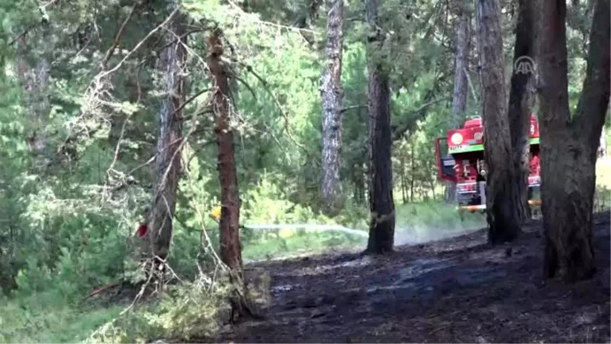 Domaniç'te çıkan orman yangını büyümeden söndürüldü