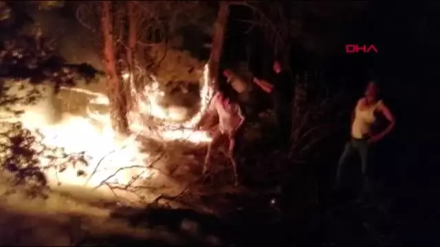 Eskişehir'de orman yangını
