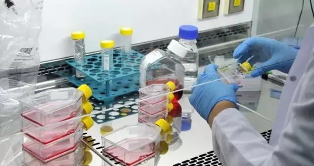 Kansere karşı en dirençli kan grubu belli oldu